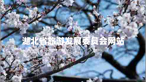 湖北省旅游發(fā)展委員會(huì )網(wǎng)站