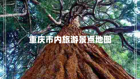 重慶市內旅游景點(diǎn)地圖