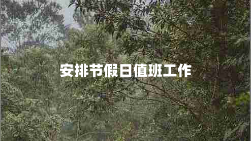 安排節假日值班工作