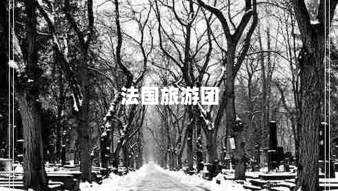 法國旅游團