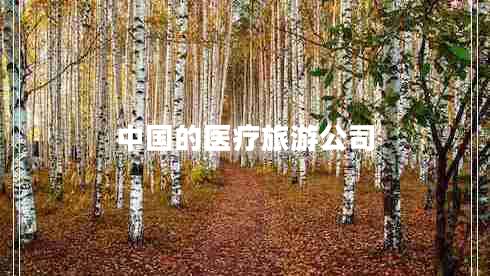 中國的醫療旅游公司