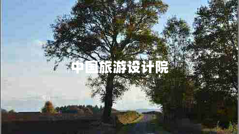 中國旅游設計院