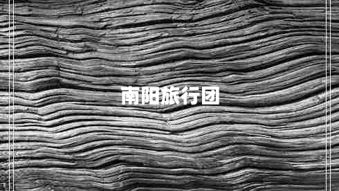 南陽(yáng)旅行團
