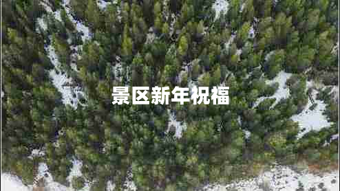 景區新年祝福
