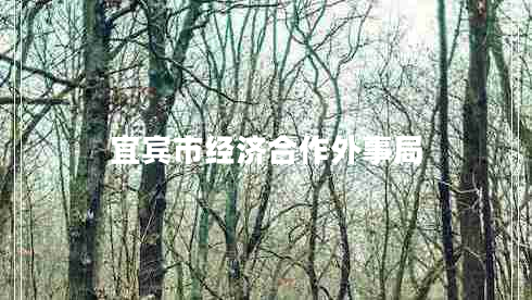 宜賓市經(jīng)濟合作外事局