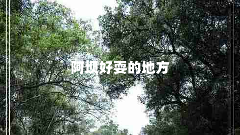 阿壩好耍的地方