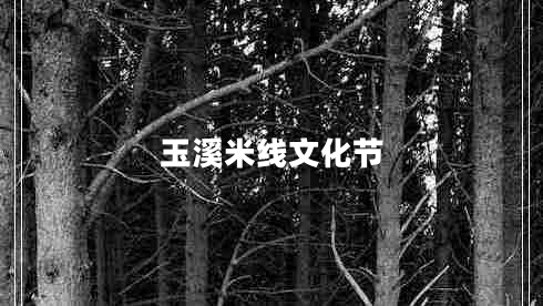 玉溪米線(xiàn)文化節