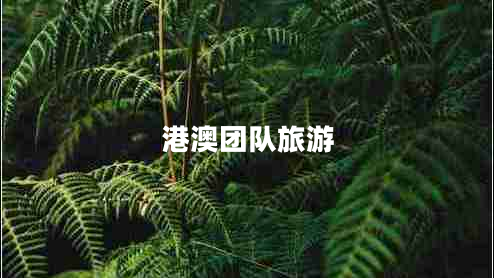 港澳團隊旅游