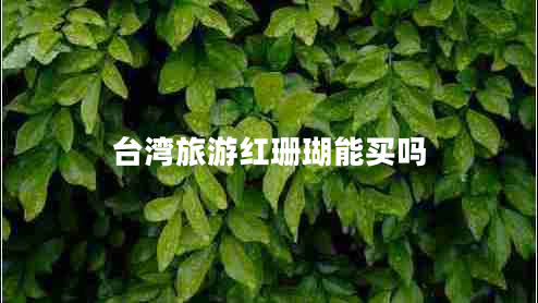 臺灣旅游紅珊瑚能買(mǎi)嗎