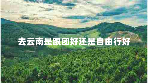 去云南是跟團好還是自由行好