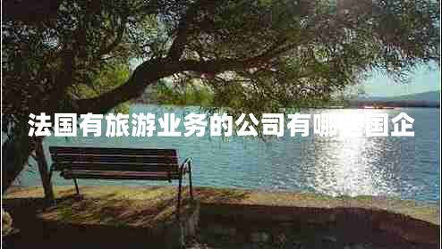 法國有旅游業(yè)務(wù)的公司有哪些國企