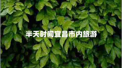 半天時(shí)間宜昌市內旅游