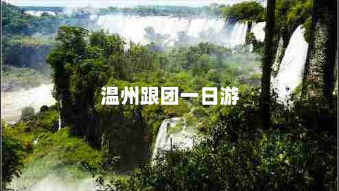 溫州跟團一日游