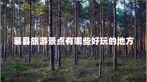 襄縣旅游景點(diǎn)有哪些好玩的地方
