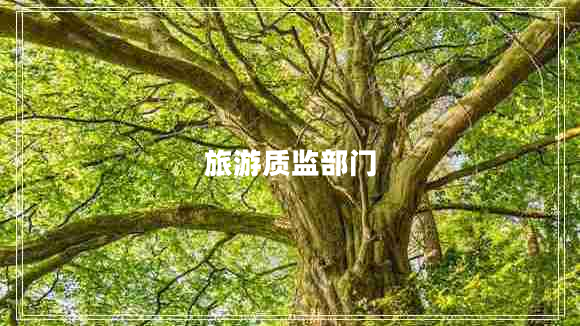 旅游質(zhì)監部門(mén)