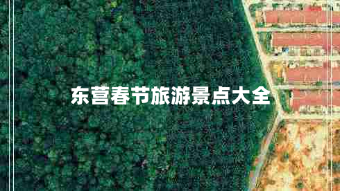 東營(yíng)春節旅游景點(diǎn)大全