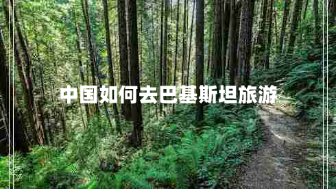 中國如何去巴基斯坦旅游