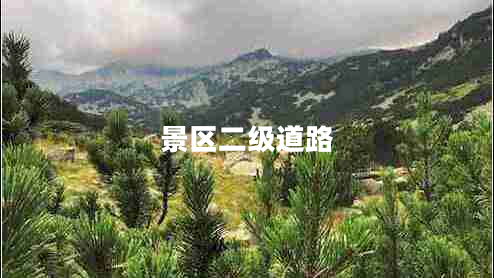 景區二級道路