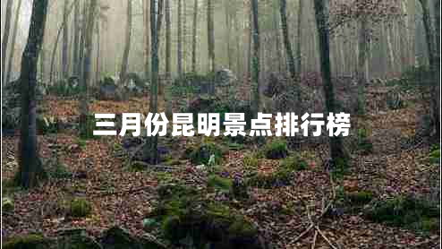 三月份昆明景點(diǎn)排行榜