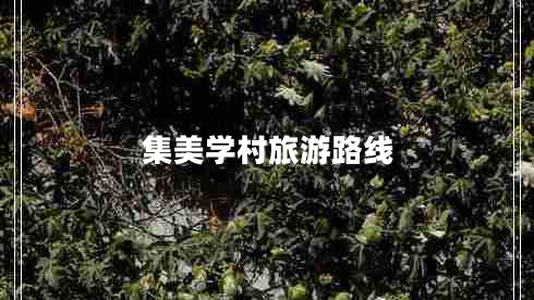 集美學(xué)村旅游路線(xiàn)
