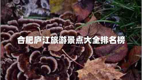 合肥廬江旅游景點(diǎn)大全排名榜