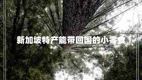 新加坡特產(chǎn)能帶回國的小零食