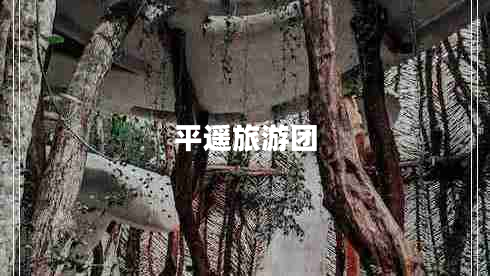 平遙旅游團