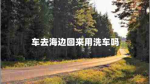 車(chē)去海邊回來(lái)用洗車(chē)嗎