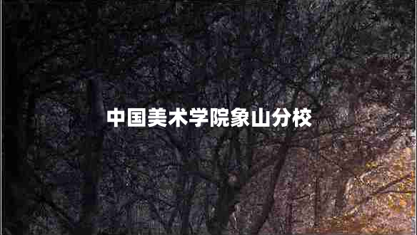 中國美術(shù)學(xué)院象山分校