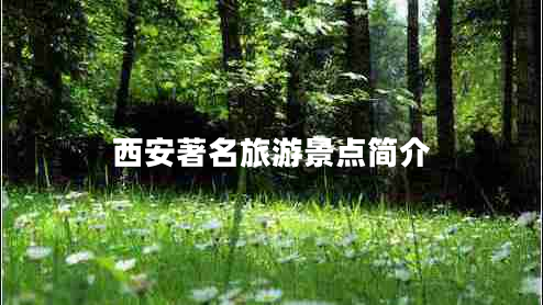 西安著(zhù)名旅游景點(diǎn)簡(jiǎn)介