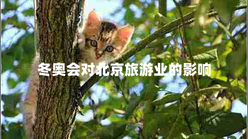 冬奧會(huì )對北京旅游業(yè)的影響