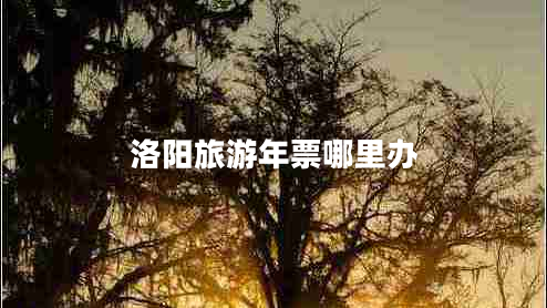 洛陽(yáng)旅游年票哪里辦