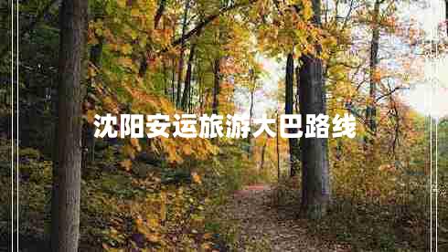 沈陽(yáng)安運旅游大巴路線(xiàn)