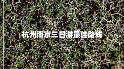 杭州南京三日游最佳路線(xiàn)