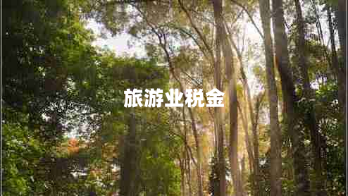 旅游業(yè)稅金