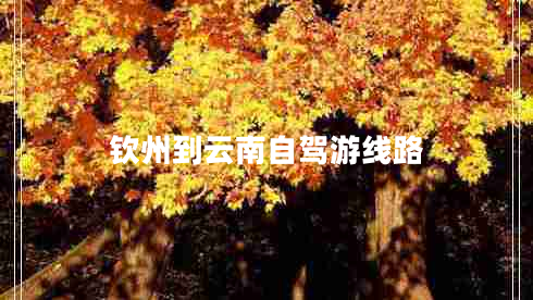 欽州到云南自駕游線(xiàn)路