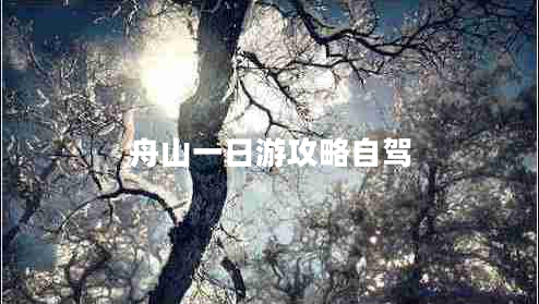 舟山一日游攻略自駕