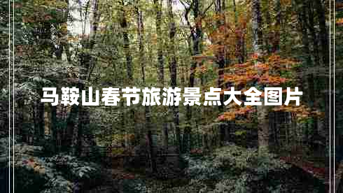 馬鞍山春節旅游景點(diǎn)大全圖片