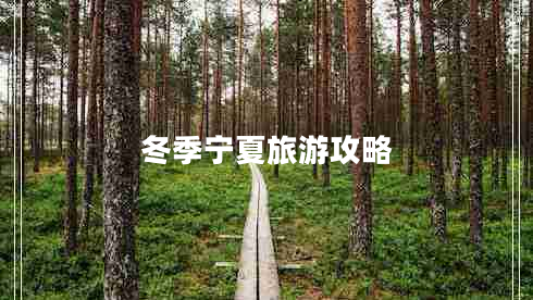 冬季寧夏旅游攻略