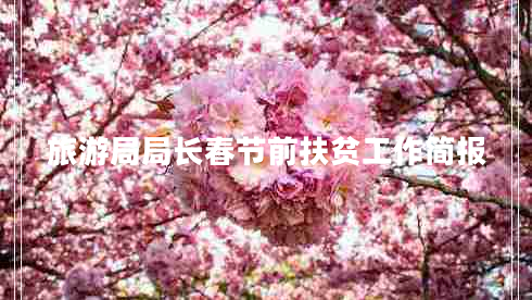 旅游局局長(cháng)春節前扶貧工作簡(jiǎn)報
