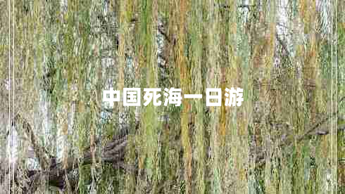 中國死海一日游