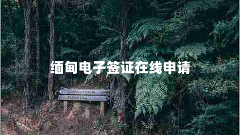 緬甸電子簽證在線(xiàn)申請