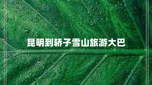 昆明到轎子雪山旅游大巴