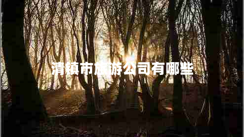 清鎮市旅游公司有哪些