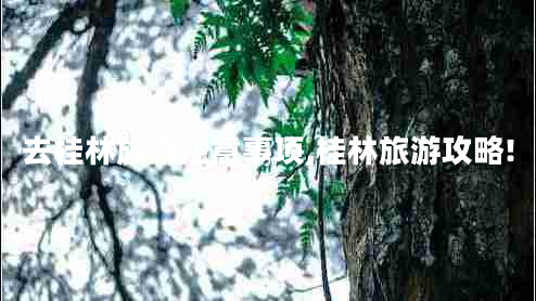 去桂林旅游注意事項,桂林旅游攻略!