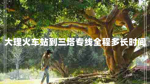 大理火車(chē)站到三塔專(zhuān)線(xiàn)全程多長(cháng)時(shí)間