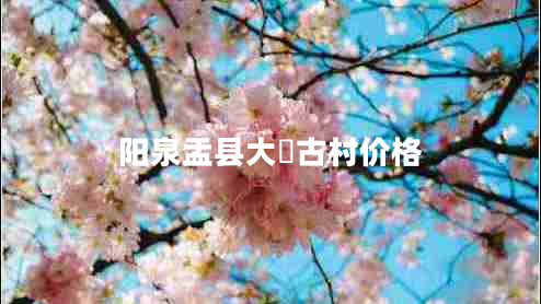 陽(yáng)泉盂縣大汖古村價(jià)格