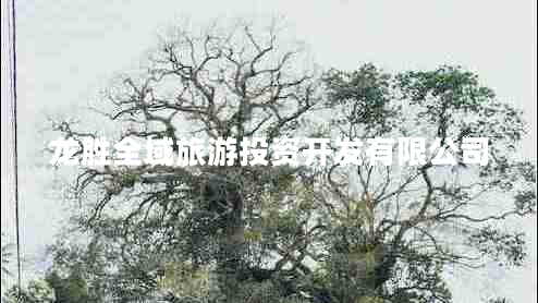 龍勝全域旅游投資開(kāi)發(fā)有限公司