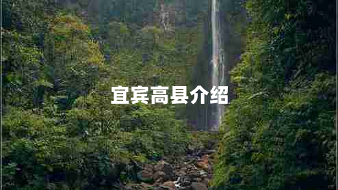 宜賓高縣介紹