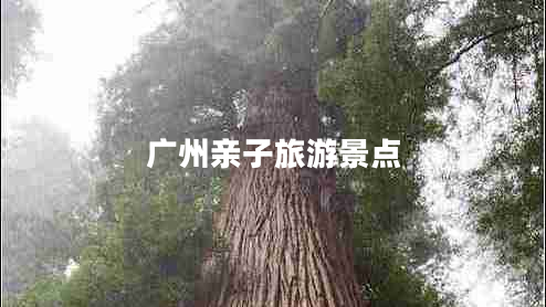 廣州親子旅游景點(diǎn)